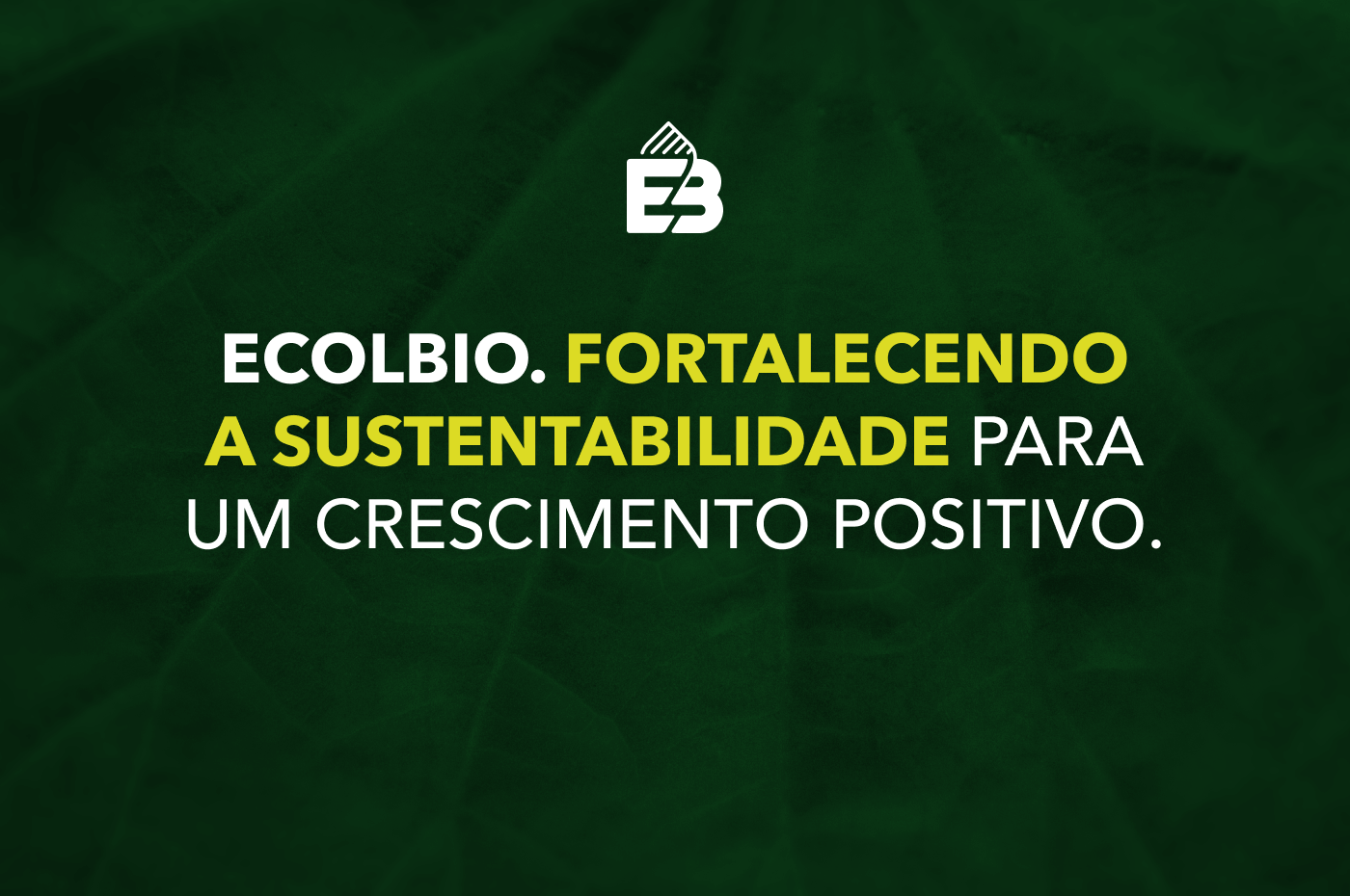 https://www.rafaeloliveira.com/portfolio/ecolbio
